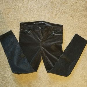 White House Black Market black velvet pants